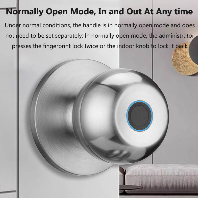 Tuya – serrure de porte intell - Smart Home Door Lock avis et prix