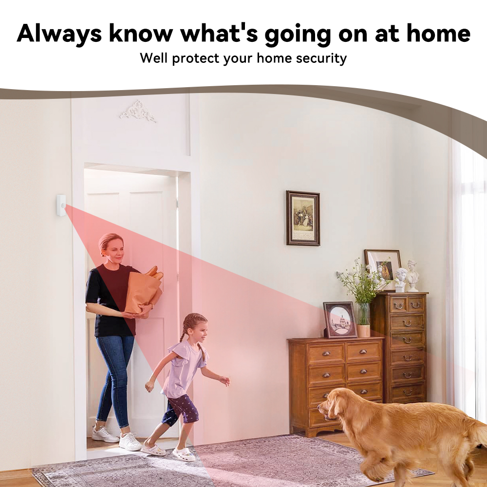 Détecteur de mouvement PIR int - Smart Home Ir avis et prix