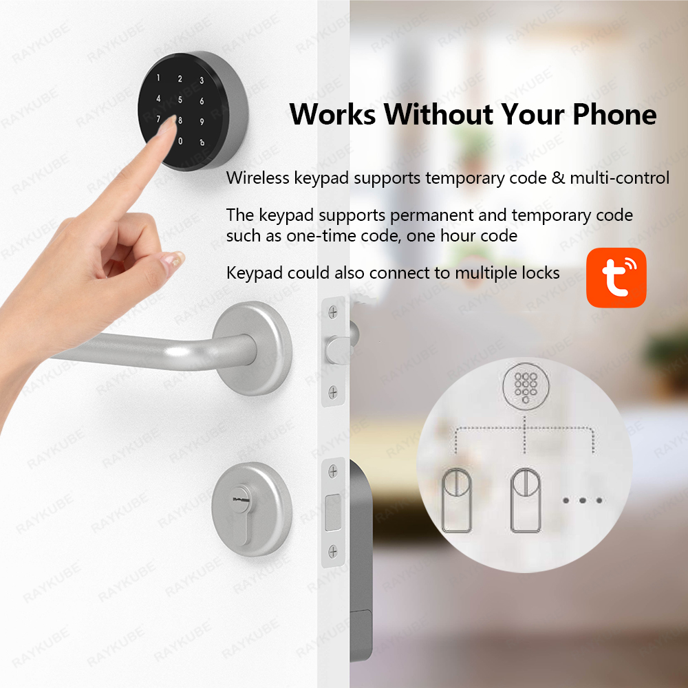 RAYKUBE A1 Pro Tuya BEL ensemb - Smart Home Door Lock avis et prix