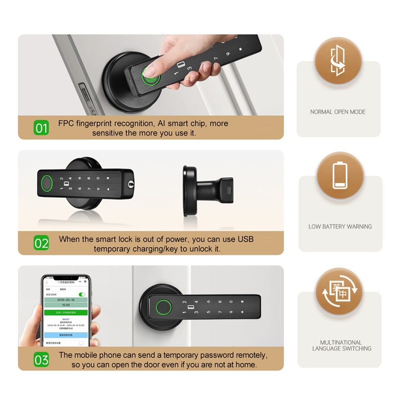 Serrure connectée WiFi Tuya Sm - Smart Home Door Lock avis et prix