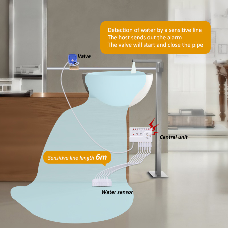 Détecteur de fuite d'eau intel - Smart Home Water Level Sensor avis et prix